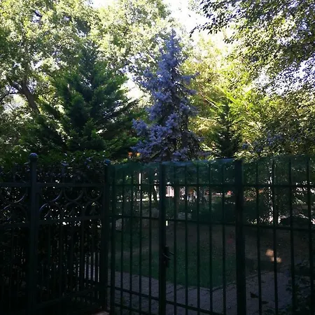 Le Park